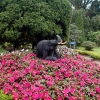 Statues of elephants found in the Kings Garden