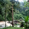 River near Wachirathan Waterfall