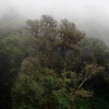 View from road on route to the summit of Doi Inthanon