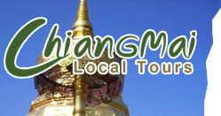 Chiang Mai Local Tours Logo