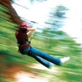 Tree Top Canopy & Whitewater Rafting