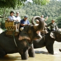 Exciting Chiang Mai