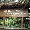 2 Days 1 Night Scooter tour to Doi Inthanon National Park 