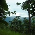 One Day Mountain and Jungle Trek 