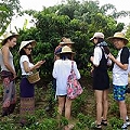 Thai Cooking Class by Smart Cook Thai Cookery School