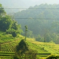 Eagle Track Zip-line Adventure
