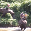 One Day Adventure Trek in the Mae Tang Area